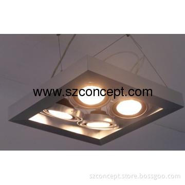 Modern Design 40W LED Hanging Light, LED Pendent Light - P